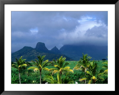 Palm Trees And Mountain Peaks In Distance, Mauritius by John Hay Pricing Limited Edition Print image