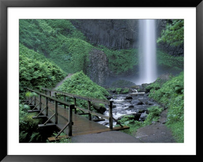 Falls From Foot Trail, Oregon Latourell Falls, Columbia River Gorge, Oregon, Usa by Jamie & Judy Wild Pricing Limited Edition Print image
