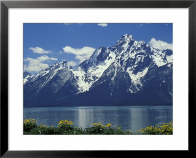 Mt. Moran From Jackson Lake, Grand Teton National Park, Wyoming, Usa by Jamie & Judy Wild Pricing Limited Edition Print image