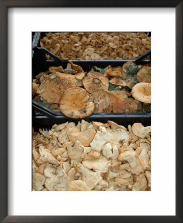 Mushrooms At Outdoor Market, Arles, Provence, France by Lisa S. Engelbrecht Pricing Limited Edition Print image