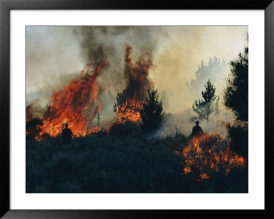 Controlled Fires Burn Eagerly In Small Patches by Melissa Farlow Pricing Limited Edition Print image