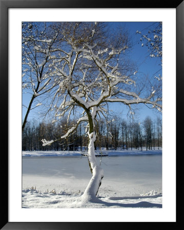 Winter Scenic, Michigan by Dennis Macdonald Pricing Limited Edition Print image