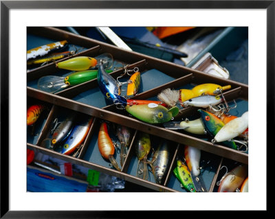 Fishing Lures, Aruba by Jennifer Broadus Pricing Limited Edition Print image