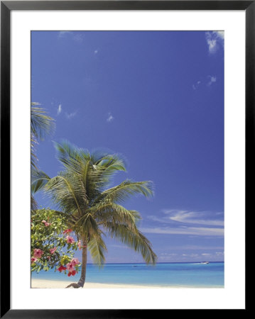 Beach With Trees,Grand Cayman Island by Anne Flinn Powell Pricing Limited Edition Print image
