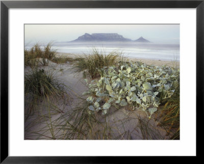 Tabletop Mountain, Table Bay, Capetown, South Africa by John & Lisa Merrill Pricing Limited Edition Print image