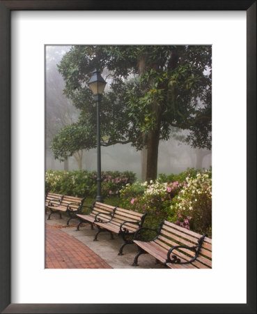 Azaleas Along Brick Sidewalk And Benches At Forsyth Park, Savannah, Georgia, Usa by Joanne Wells Pricing Limited Edition Print image