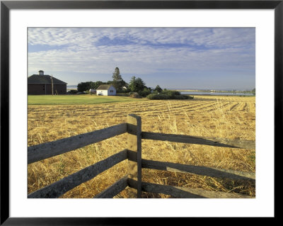 Ebey's Landing National Historic Site, Whidbey Island, Washington, Usa by William Sutton Pricing Limited Edition Print image
