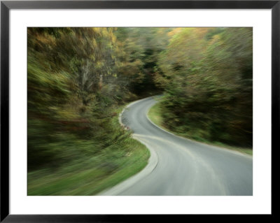 Time-Exposed View Taken From A Car Of The Winding Road by Raymond Gehman Pricing Limited Edition Print image