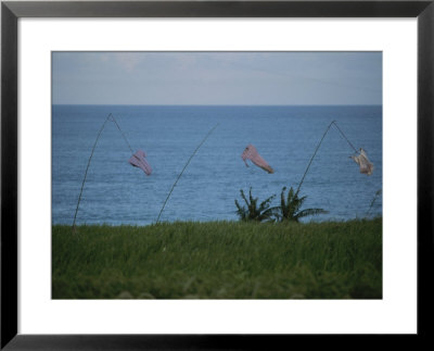 Laundry Hangs Out To Dry On A Windy Coast by Jodi Cobb Pricing Limited Edition Print image
