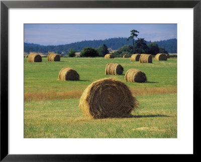 Rolls Of Hay Dot A Field by Raymond Gehman Pricing Limited Edition Print image