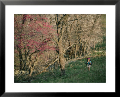 Woman Hiking In Springtime, Blue Ridge by Skip Brown Pricing Limited Edition Print image