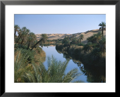 The Photographer Discovers An Oasis In The Middle Of The Sahara Desert by Peter Carsten Pricing Limited Edition Print image