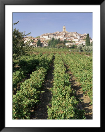 Vineyard, Cote Du Rhone, Sablet, Vaucluse, Provence, France by John Miller Pricing Limited Edition Print image