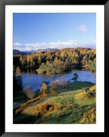 Tarn Hows, Lake District National Park, Cumbria, England, United Kingdom by Roy Rainford Pricing Limited Edition Print image