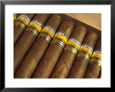 Close-Up Of Limited Edition Cigars In A Box, Cohiba, Havana, Cuba, West Indies, Central America by Eitan Simanor Pricing Limited Edition Print image