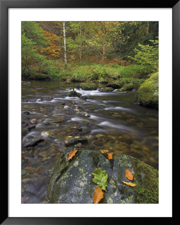 Autumn Colours At Aira Beck Which Flows From Aira Force Into Ullswater, Cumbria, Uk by Neale Clarke Pricing Limited Edition Print image