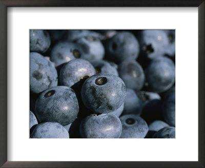 A Close View Of Fresh-Picked Blueberries by Heather Perry Pricing Limited Edition Print image