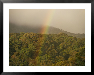 Rainbow Over Monteverde Cloud Forest, Monteverde, Costa Rica by Skip Brown Pricing Limited Edition Print image