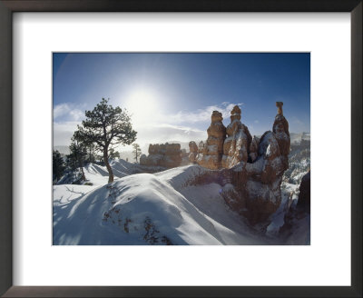 Winter View In Bryce Canyon National Park by Norbert Rosing Pricing Limited Edition Print image