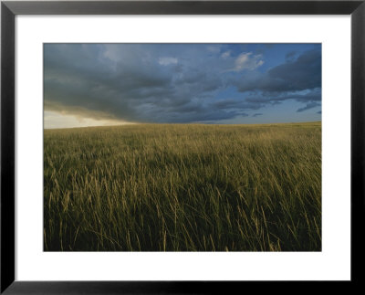 Dakota Grasslands In The Theodore Roosevelt National Park by Michael Melford Pricing Limited Edition Print image