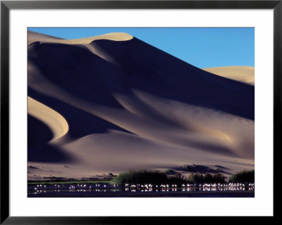 Sand Dunes Soar Above An Oasis In Namibia by Annie Griffiths Belt Pricing Limited Edition Print image