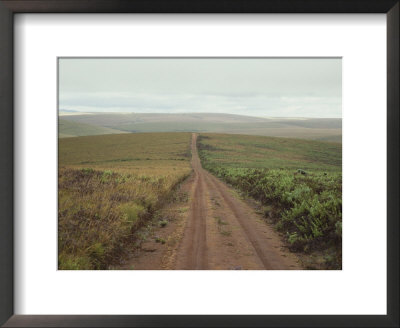 A Dirt Road Leading To The Horizon Through Rolling Grasslands by Bill Curtsinger Pricing Limited Edition Print image