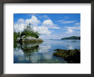 Shoreline Reflected In A Still Lake by Raymond Gehman Pricing Limited Edition Print image
