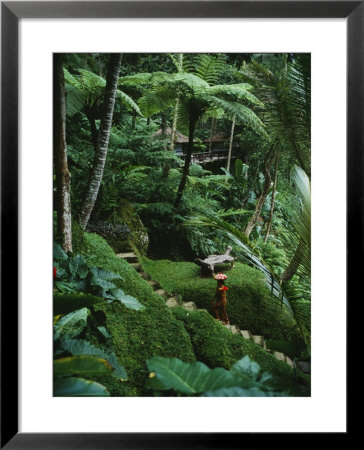 A Resort Worker Walks Up The Steps Of A Path Cut Through Dense Jungle by Eightfish Pricing Limited Edition Print image