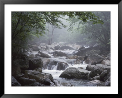 A Stream Courses Through Baxter State Park by Phil Schermeister Pricing Limited Edition Print image