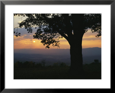 Sunset And Silhouetted Oak Tree Over The Shenandoah Valley, Dickeys Ridge Visitors Center by Raymond Gehman Pricing Limited Edition Print image