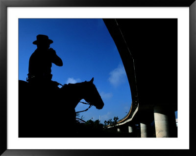A Mounted Agent Of The U.S. Border Patrol by Joel Sartore Pricing Limited Edition Print image