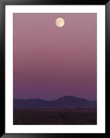 The Moon Shines Over The Landscape At Twilight by Melissa Farlow Pricing Limited Edition Print image
