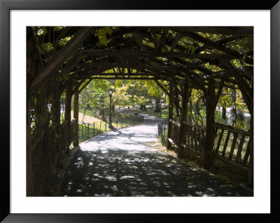 Curved Walkway In Central Park by Stacy Gold Pricing Limited Edition Print image