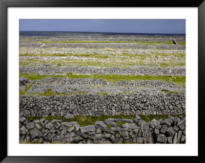 Stone Walls On Inis Mor (Inishmore), Aran Islands, Republic Of Ireland by Andrew Mcconnell Pricing Limited Edition Print image