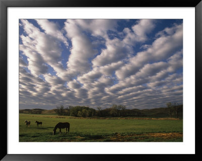 A Blanket Of Clouds Hovers Over Horses Grazing In A Pasture by Annie Griffiths Belt Pricing Limited Edition Print image