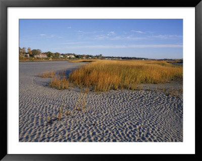 Tidal Salt Marsh On The Coast, Maine, Usa by Jerry & Marcy Monkman Pricing Limited Edition Print image