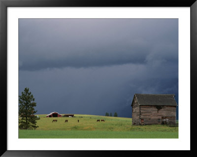 Ominous Clouds Gather Over Horses Grazing On A Flathead Valley Ranch by Annie Griffiths Belt Pricing Limited Edition Print image