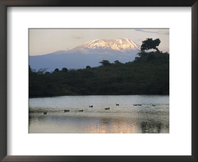 Mount Kilimanjaro Rises Above One Of Tanzanias Momela Lakes by Richard Nowitz Pricing Limited Edition Print image