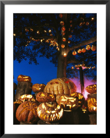Grinning Lit Jack-O-Lanterns Surrounding And Filling A Tree by Richard Nowitz Pricing Limited Edition Print image