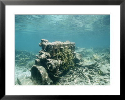An Encrusted Diesel Engine Sits On The Ocean Floor by Wolcott Henry Pricing Limited Edition Print image