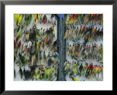 A Tackle Box Full Of Colorful Flies by Bill Curtsinger Pricing Limited Edition Print image