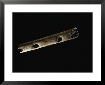 A 25,000-Year-Old Bird Bone Flute Is Among The Earliest Evidence Of Music by Sisse Brimberg Pricing Limited Edition Print image
