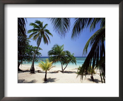 West Bay At The Western Tip Of Roatan, Largest Of The Bay Islands, Honduras, Caribbean by Robert Francis Pricing Limited Edition Print image