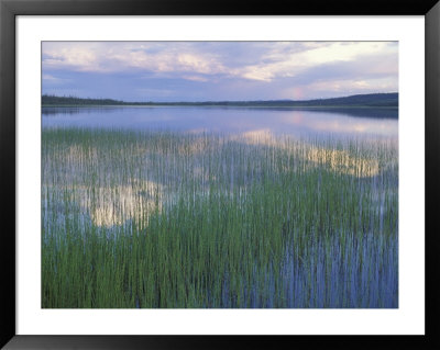 Clouds Reflect In Deadman Lake, Tetlin National Wildlife Refuge, Alaska, Usa by Jerry & Marcy Monkman Pricing Limited Edition Print image