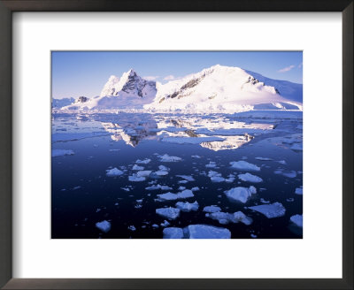 West Coast, Antarctic Peninsula, Antarctica, Polar Regions by Geoff Renner Pricing Limited Edition Print image