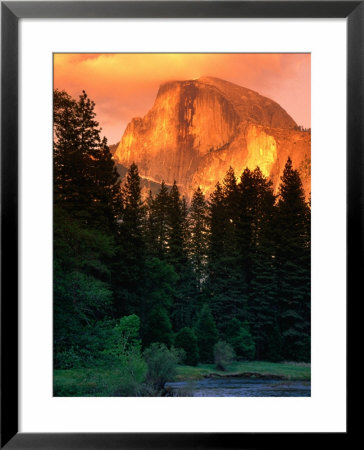 Half Dome Seen From Sentinel Bridge Over Merced River, Yosemite National Park, Usa by John Elk Iii Pricing Limited Edition Print image