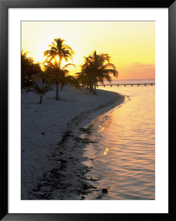 Coconut Palm Tree At Sunset, Caribbean by Roger Leo Pricing Limited Edition Print image