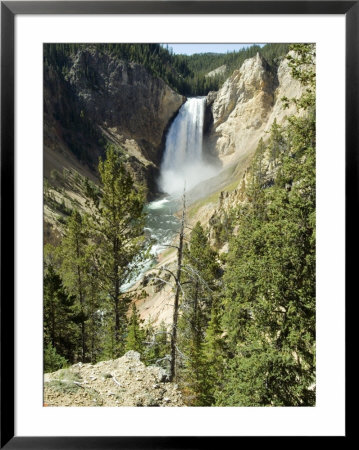 Yellowstone Canyon, Yellowstone National Park, Unesco World Heritage Site, Wyoming, Usa by Ethel Davies Pricing Limited Edition Print image
