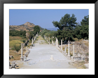 Archaeological Site, Ephesus, Anatolia, Turkey by R H Productions Pricing Limited Edition Print image