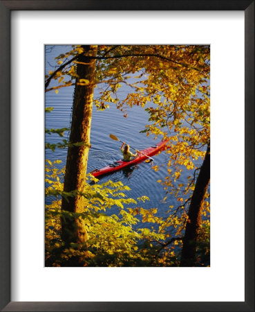Woman Kayaking With Fall Foliage, Potomac River, Maryland by Skip Brown Pricing Limited Edition Print image